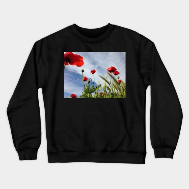 Coquelicots dans le ciel breton Crewneck Sweatshirt by rollier